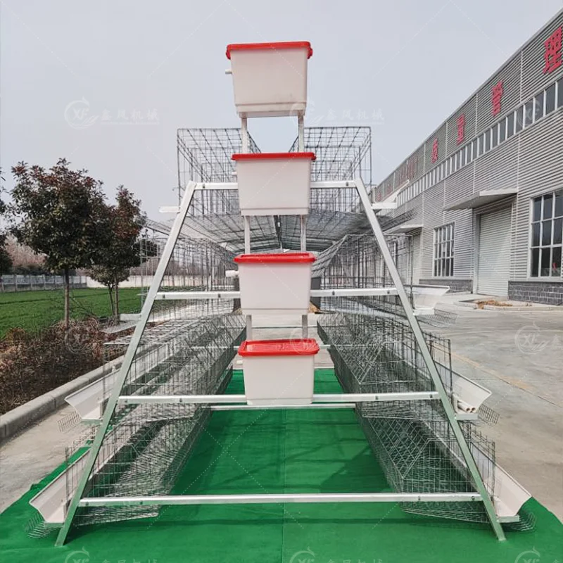 High Quality Intelligent Laying Hen Farming Equipment A Type Chickens Cage Battery Cage with Environment Controller