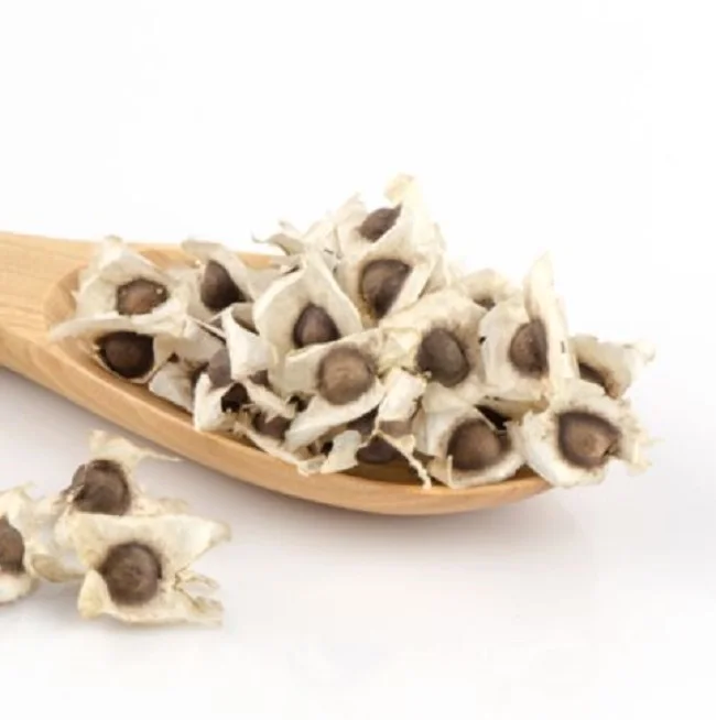 
Herbal Moringa Oleifera Seeds Sellers 