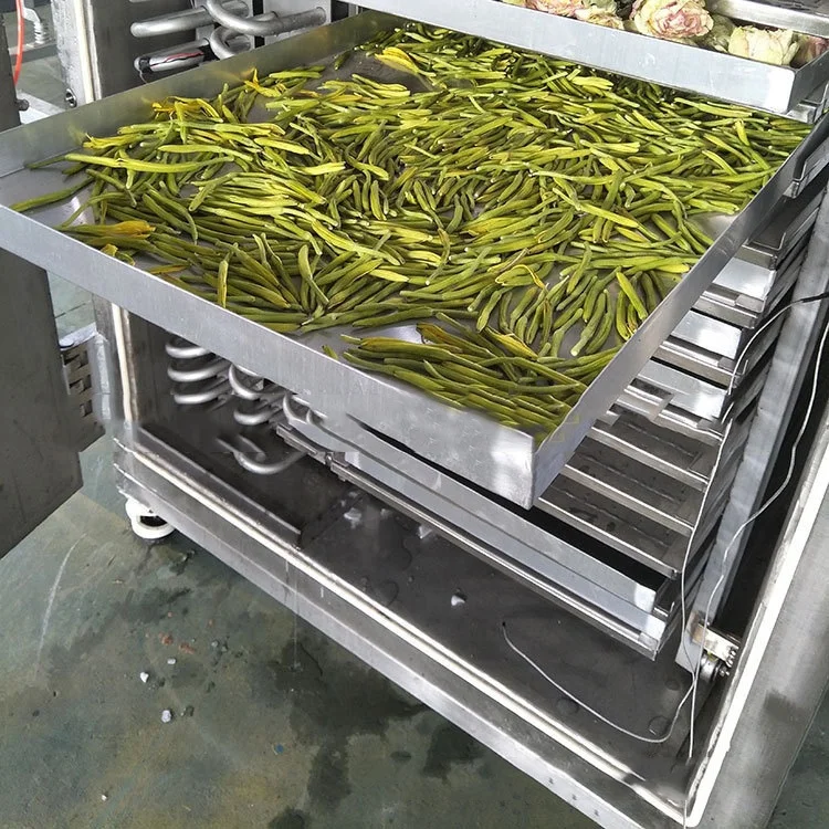  Машина для сушки пищевых продуктов сушилка замораживания вакуумное оборудование фруктов сухая