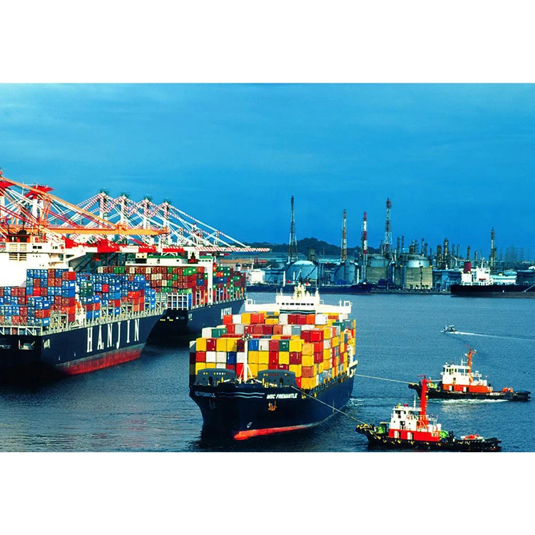 International Logistics Cargo DDP LCL Freight Forward Ocean Shipping Agent from Chna to USA