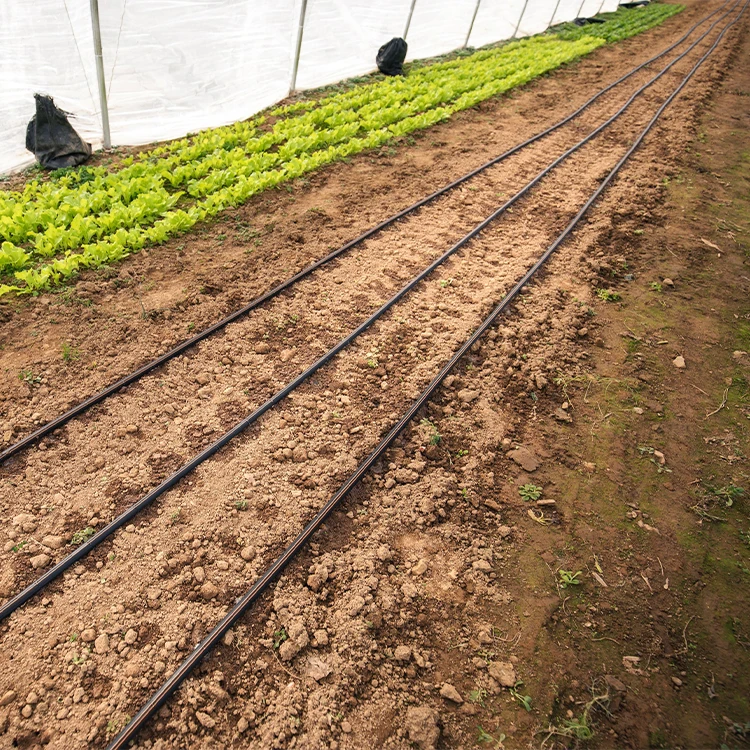 16 mm ldpe pc dripper pressure compensating drip tape with flat emitter irrigation pipe