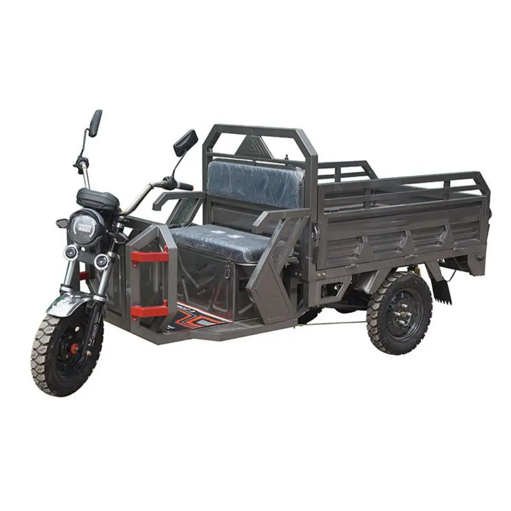 1000w 48v electric scooter for cargo delivery carbon steel body mobility scooters electric 3 wheel 2 seat motorcycles tricycles