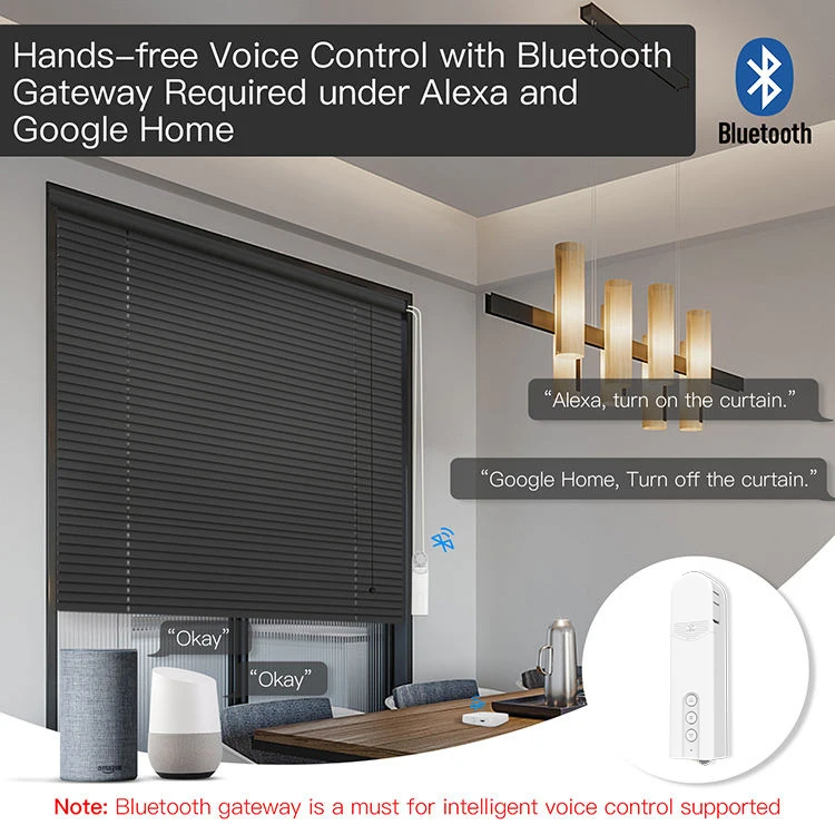 Tuya Zigbee Chain Motorized Roller Blinds Shades Shutter Drive Motor APP Voice Remote Control Window Blinds