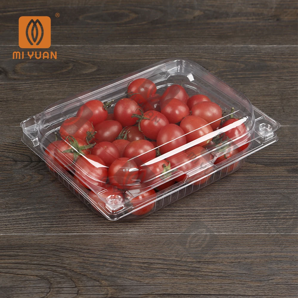 PET Clear Fresh Fruit Recyclable Plastic Clamshell Box For Supermarket Fruit Grape Fruit Box