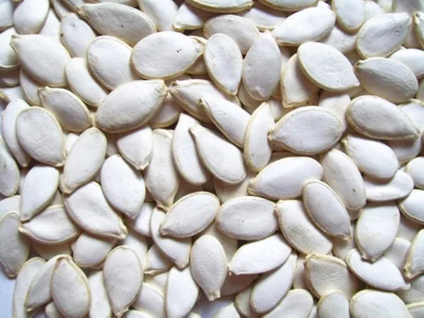 online all kinds organic non gmo hybrid dried white pumpkin seed seeds turkey price