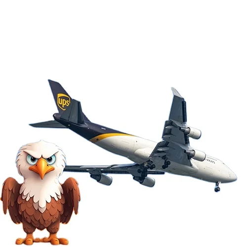 TOP1 FBA Door to Door Service DDP Air Freight Forwarder USA to Europe DE/NL/FR/IT/PL/CZE Logistics Agent Cargo Services