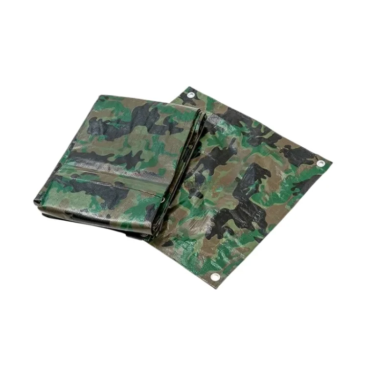 Customized Size/Color Laminated Pe Tarpaulin Plastic Tarps Fabric Sheet