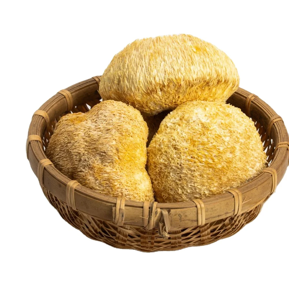 AD mushroom lions mane High quality deep mountain nourishing large lions mane mushroom Hericium erinaceus