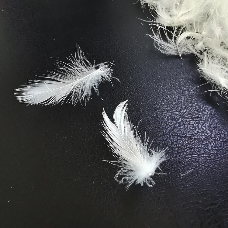 High quality washed white duck down and feathers 2-4 cm, 4-6cm