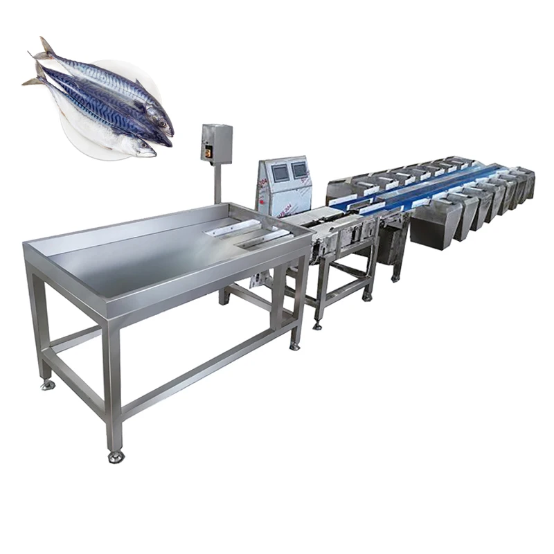 Food Grading Line Commercial Use Food Weight Sorting Machine Fish Grader