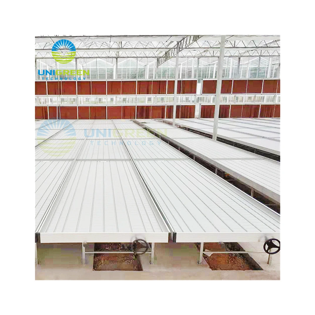 Low Cost Agriculture Farming Adjustable EBB And Flood Rolling Table For Seedling And Medical Plants