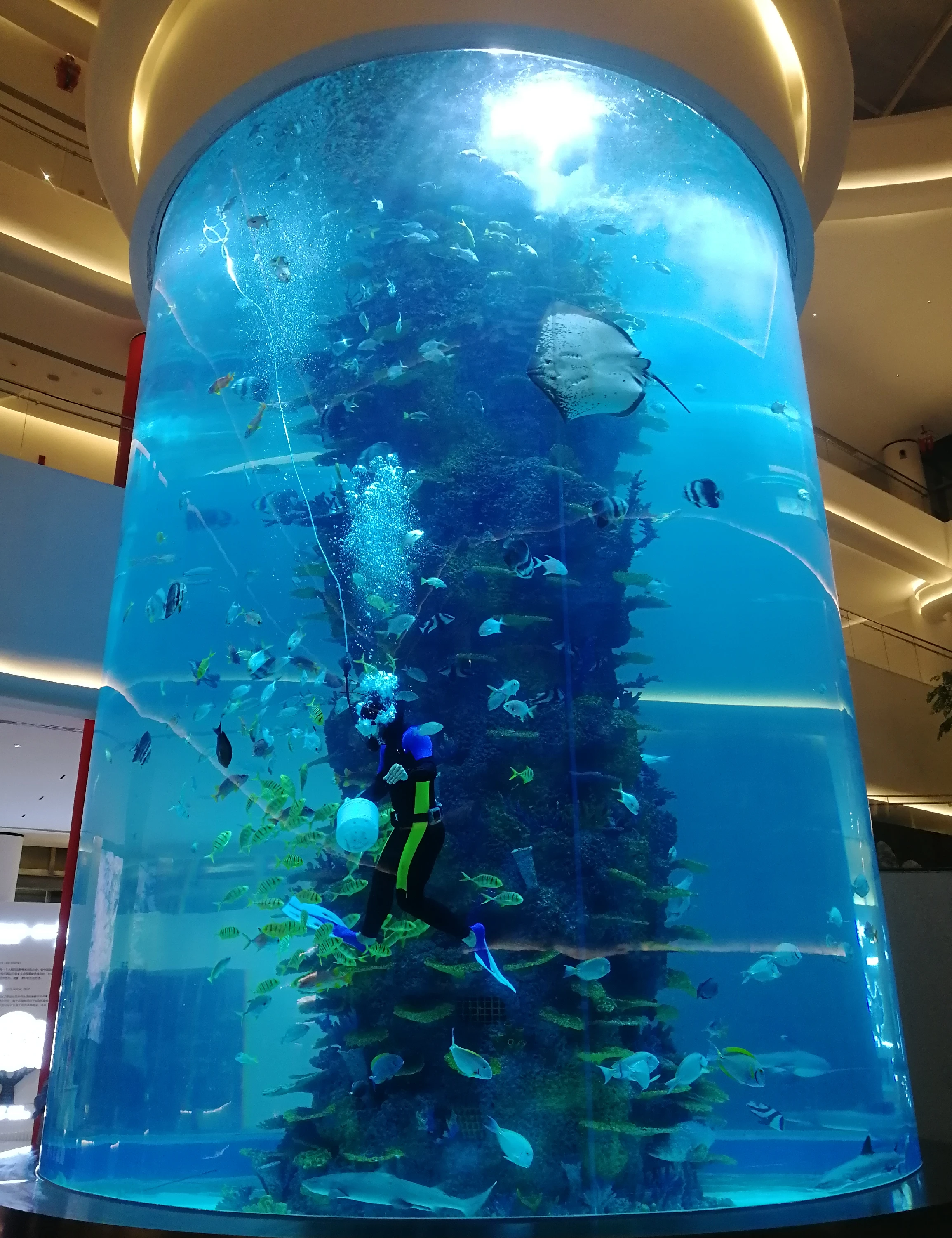 Чаша для рыб, круглый пластиковый акриловый стеклянный цилиндр, аквариум для продажи