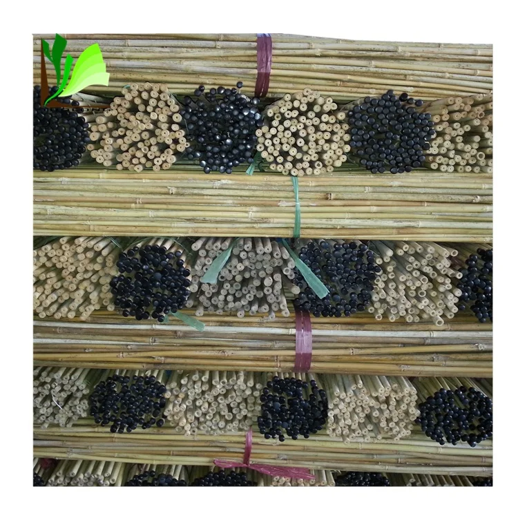 Тростник и бамбуковый тростник и бамбуковый колпачок