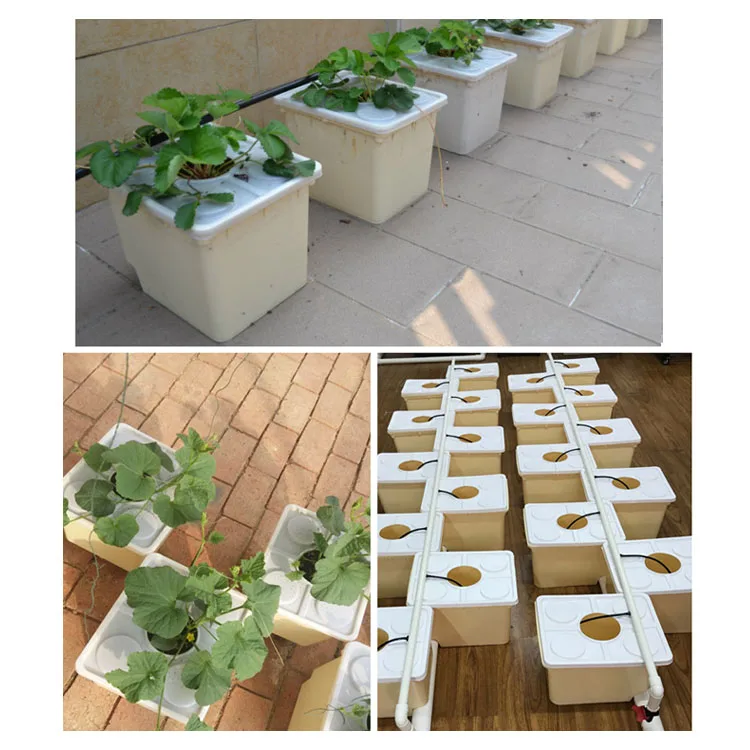 Dutch Barrel 2 Holes Black Hydroponics Tomatoes Dutch Grow tank Bucket System Square Barrel for Soilless Culture