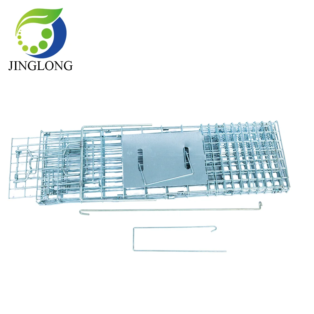 Buy Galvanized Stray Feral Cat Raccoon Living Animal Traps Cage For Sale