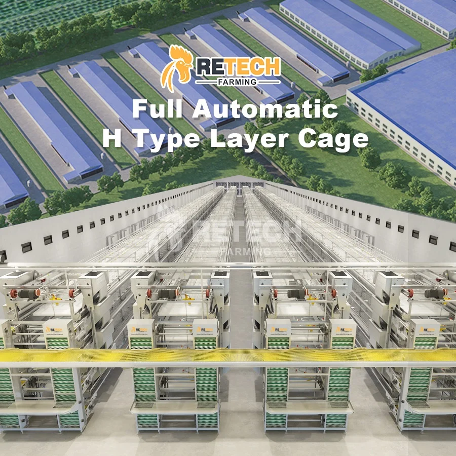 High Quality Automatic Galvanized Battery Chicken Layer Cage Poultry Farming Equipment For Sale