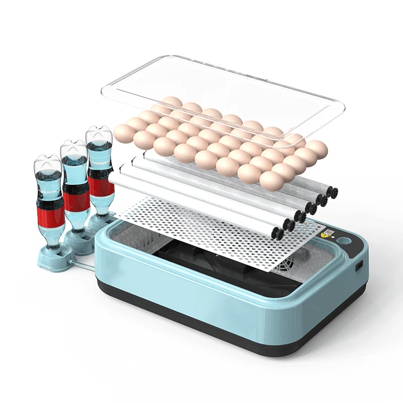 Small size egg incubator hatching 90 quail eggs fully automatic temperature and humidity