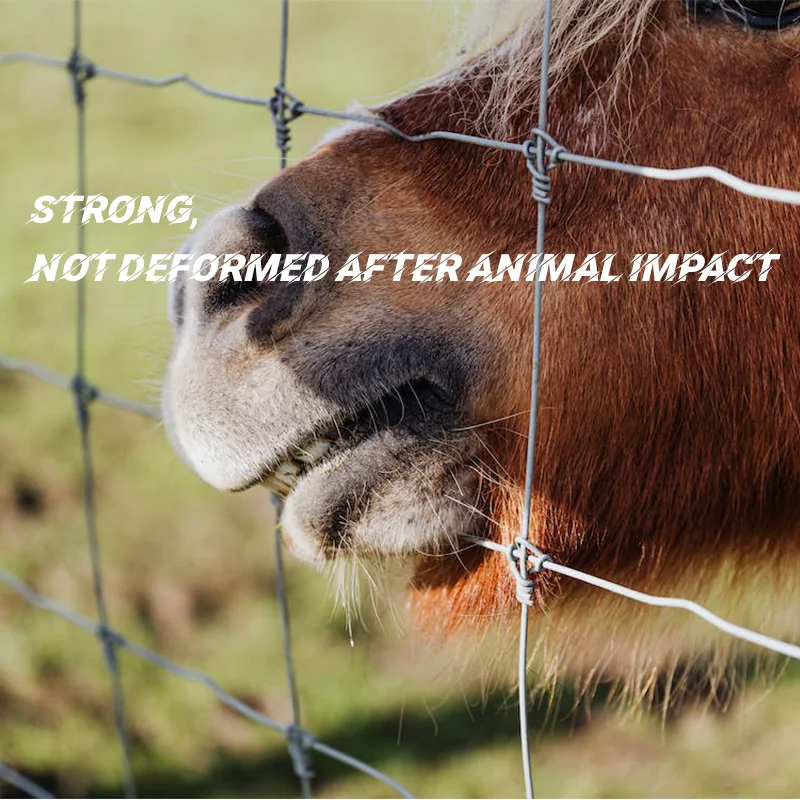 Heavy-Duty Zinc-Coated Fixed Knot Woven Wire Fence for Field Game and Sports Welded Weave Technique