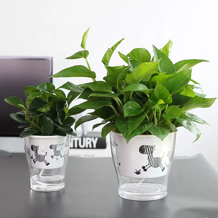 Free sample wholesale biodegradable clear zebra pattern plastic orchid seedlings plant nursery flower pots