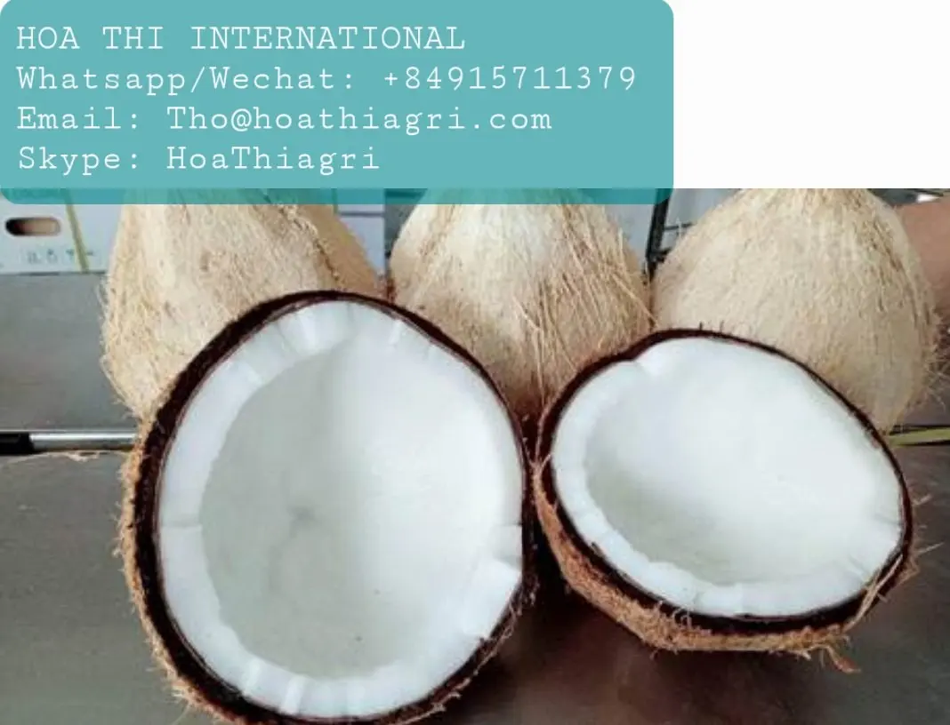 One Year Shell Life Semi Husked Coconut From Vietnam High Quality - Best Price for Export Origin From Vietnam
