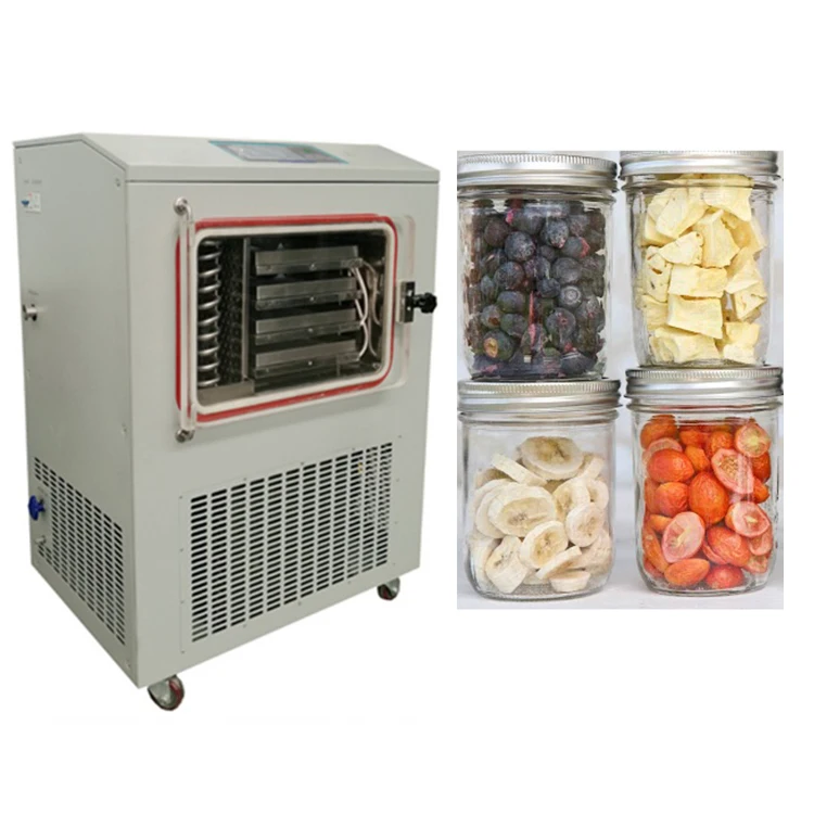 8KG/24h Vegetable Freeze Dryer for Food Factory