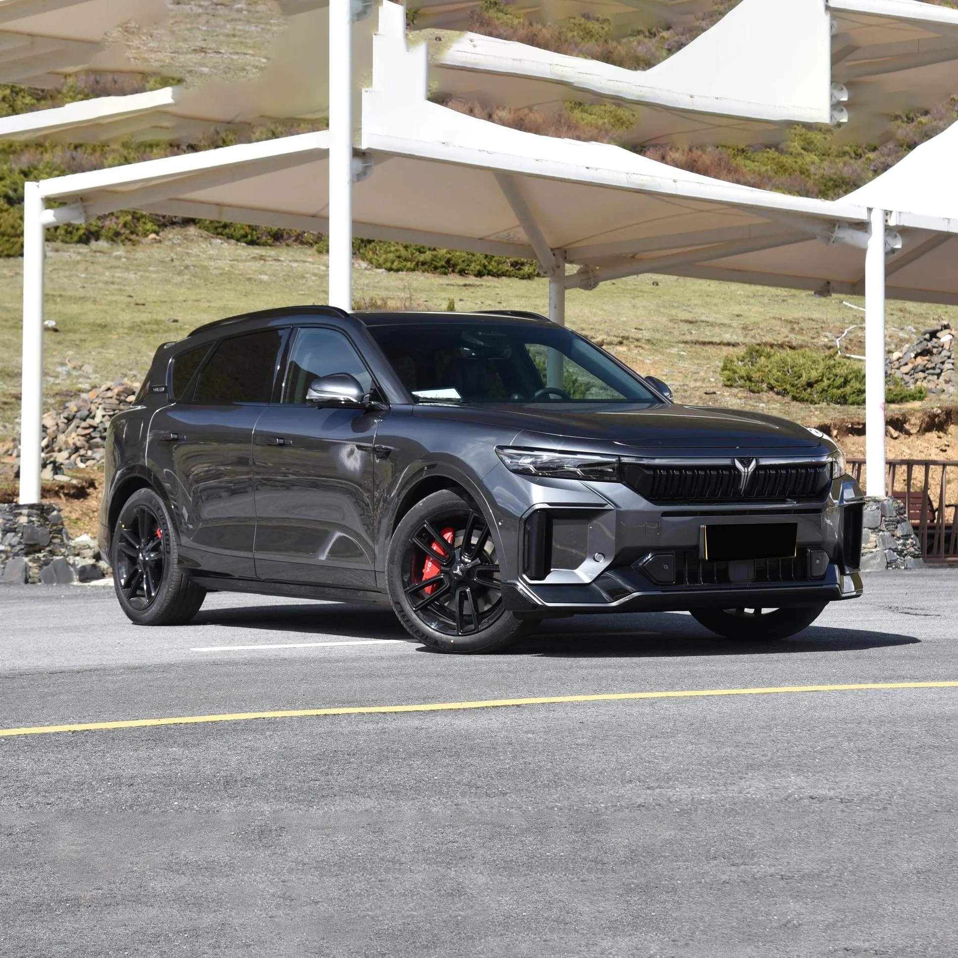 2025 Brand New Lantu Voyah 318km Long Range 4WD Voyah Free Hybrid Electric Car