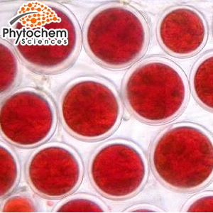 
Pure Natural Astaxanthin Powder/ Haematococcus pluvialis Extract 5% Astaxanthin by HPLC 