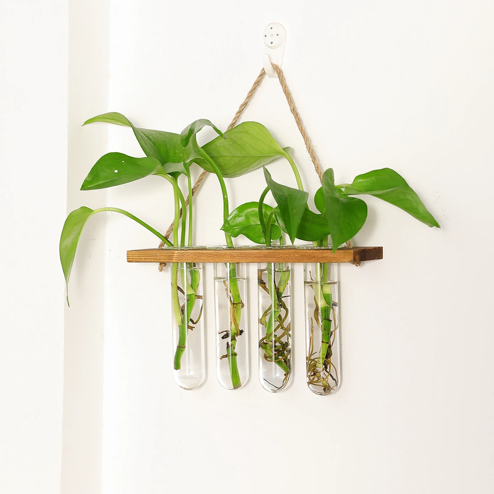 Glass Hanging Planter hydroponics Bohemia solid wood Wall hanging vases flower pots