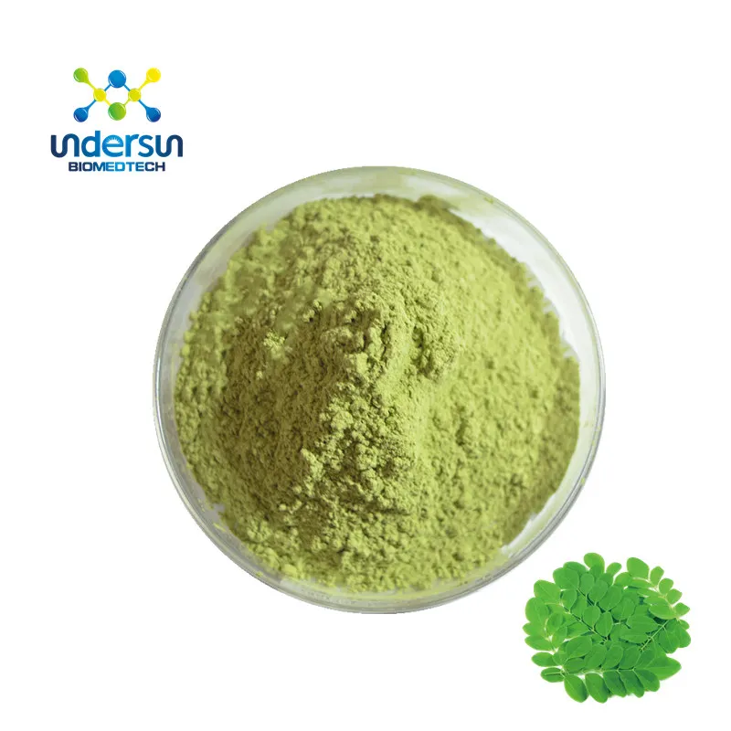 High Quality Moringa Leaves Powder Supplier From India/Malunggay extract 5:1 10:1/Moringa powder