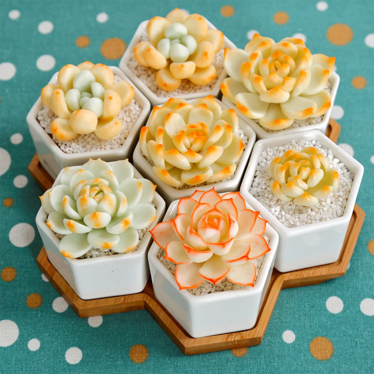 Ceramic Flower Pot Cute Cat Succulent Plant Pots Vase  Animal Cartoon Pots Planters for Indoor Plants