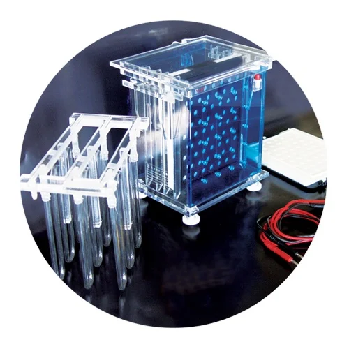 Стабильная производительность двойные пластины Вестерн бло электрофорез бак с охлаждающим устройством