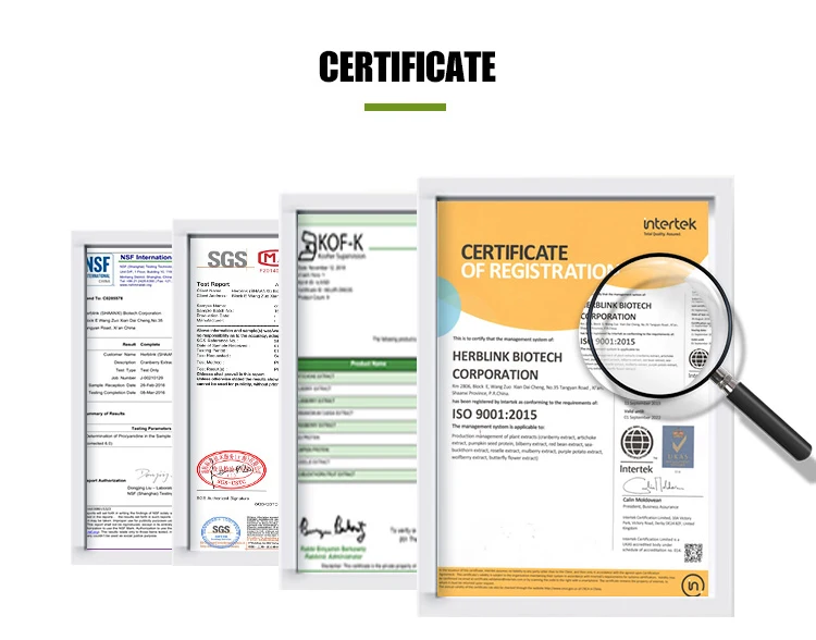 
High Quality Arbutin/Bearberry Extract/Bearberry Extract powder 