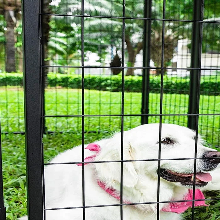 4 x 4 mesh black PVC-coated welded wire dog fence house(6).jpg