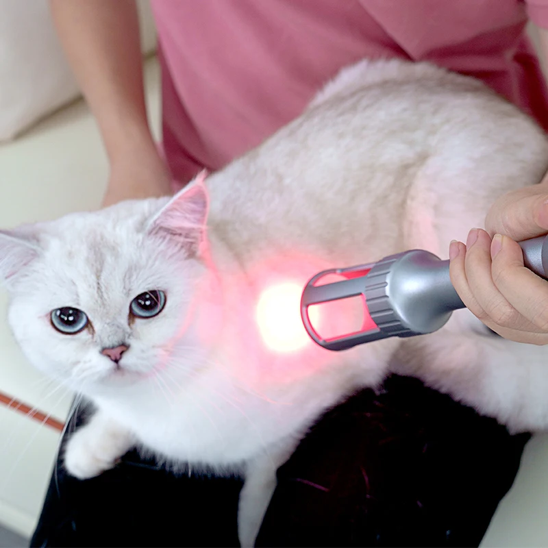 Veterinary Cure 10-30w Class 4 Laser Therapy Physiotherapy Rehabilitation Equipment For Veterinary Treatment Machine