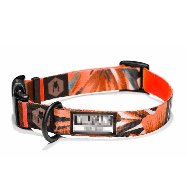 Best selling pet products durable nylon custom print dog collar for medium dogs