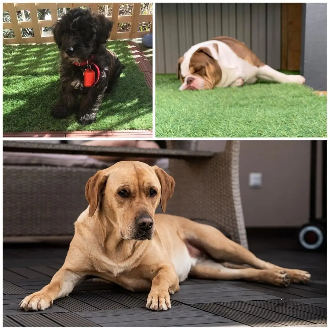 UNI  TURF Artificial Grass Tiles Interlocking Turf Deck self-draining Mat Flooring Decor Pad for Dog Pet indoor outdoor