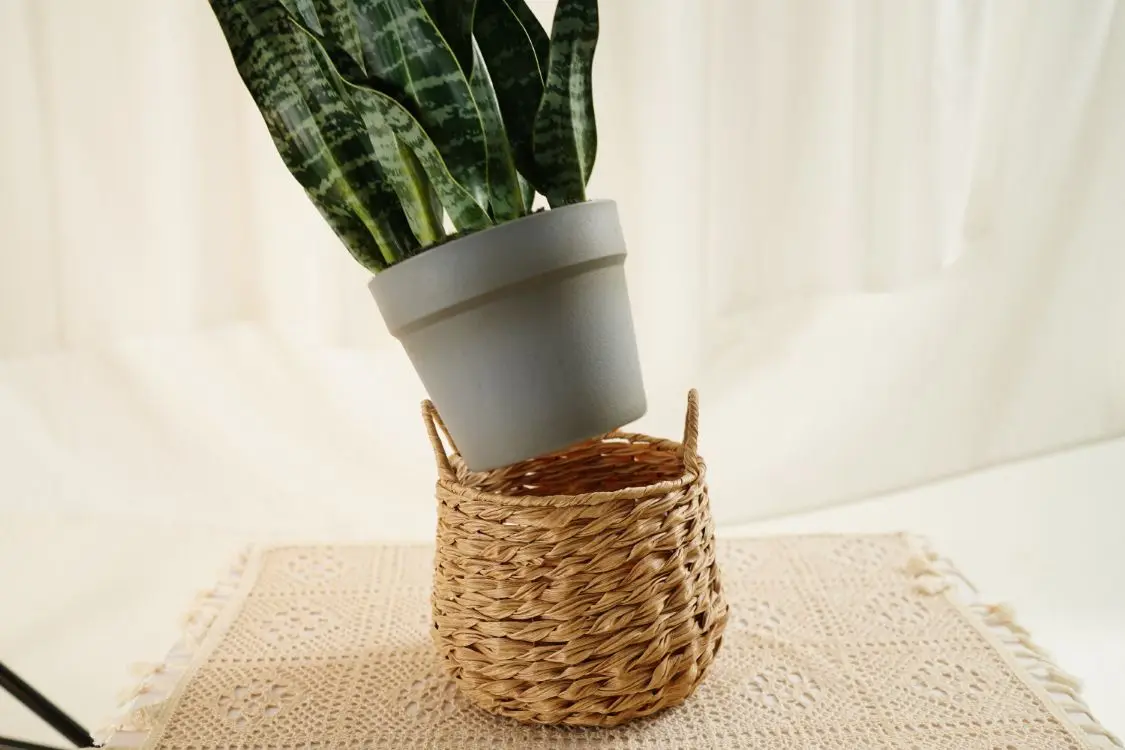 Hourpark Factory Anti-UV Waterproof Outdoor Agave Bonsai Sets Artificial Plants For Decoration