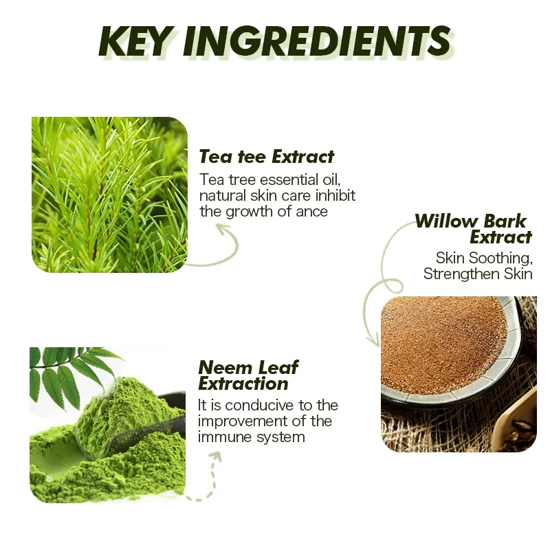 OEM Private Label 100% Natural Neem & Tea Tree Face Serum Smooth Repair Skin Damage Pores Shrink Hyaluronic Acid Serum For Face
