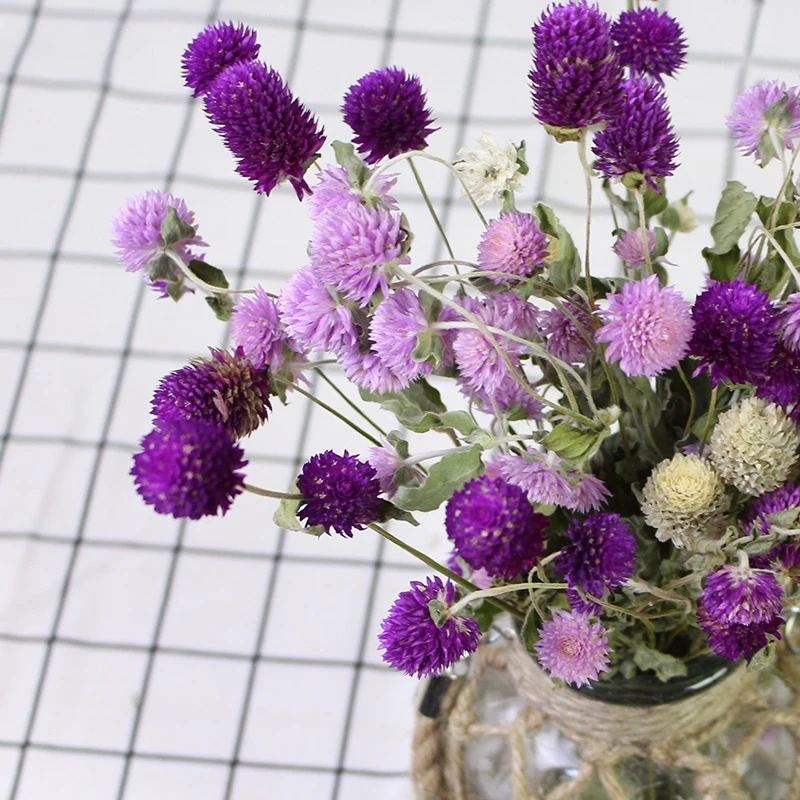Wholesale Natural Dry Globe Amaranth Dried Flowers Gomphrena Globosa For Decor DIY Flowers Arrangements Candle Resin Making