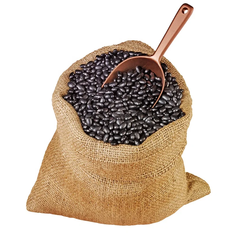 Wholesale organic dry black kidney beans kidney black beans