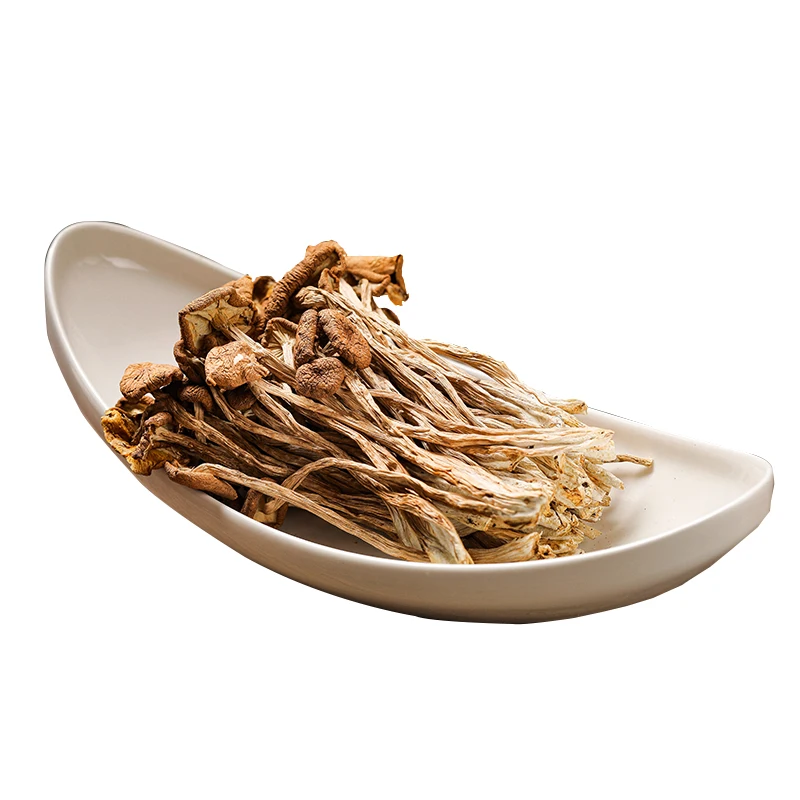Affordable Price Good Condition Organic Tree Mushrooms Wild Grow Kit Dried Fungus From Organic
