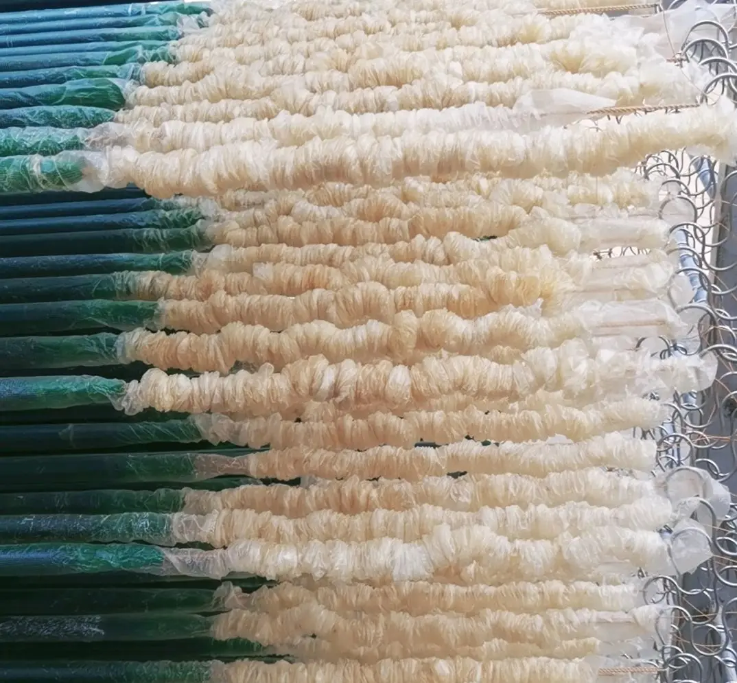 Edible natural Pork hog Casings for Sausages
