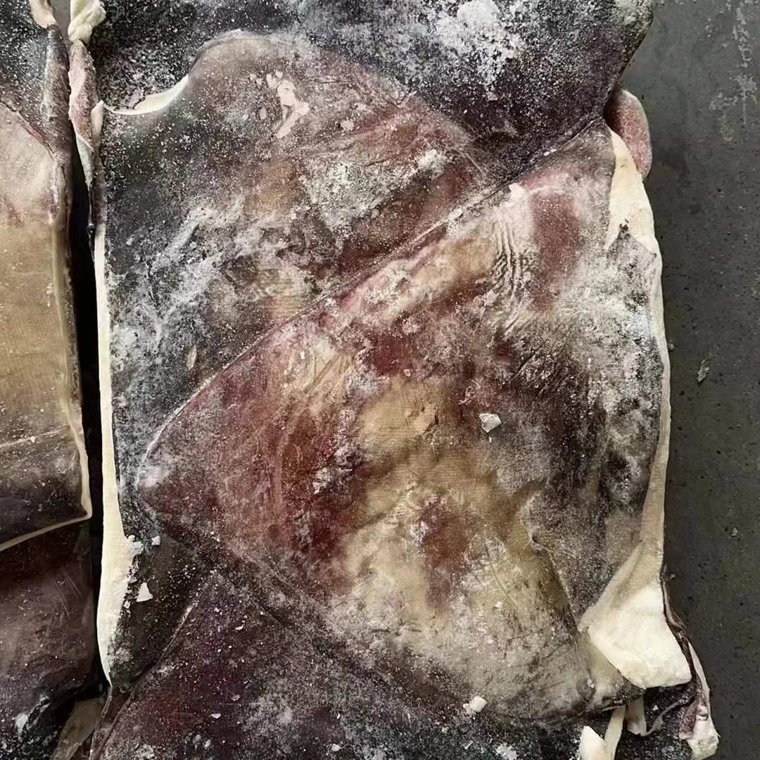Peru squid dosidicus gigas  wings With skin  dosidicus gigas wings Peru Squid wings with skin Skin on