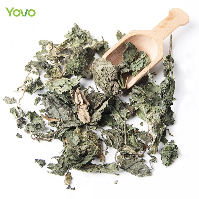 Bulk Wholesale Chinese Herbal Tea 100% Natural Dried Nettle Leaf Cut Green Nettle Leaves Tea UrticafissaE. Pritz.