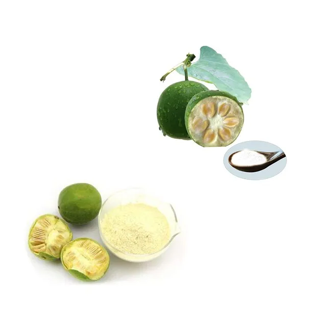 Natural Monk Fruit Extract  Mogroside V Luo Han Guo Extract  88901-36-4 in Bulk