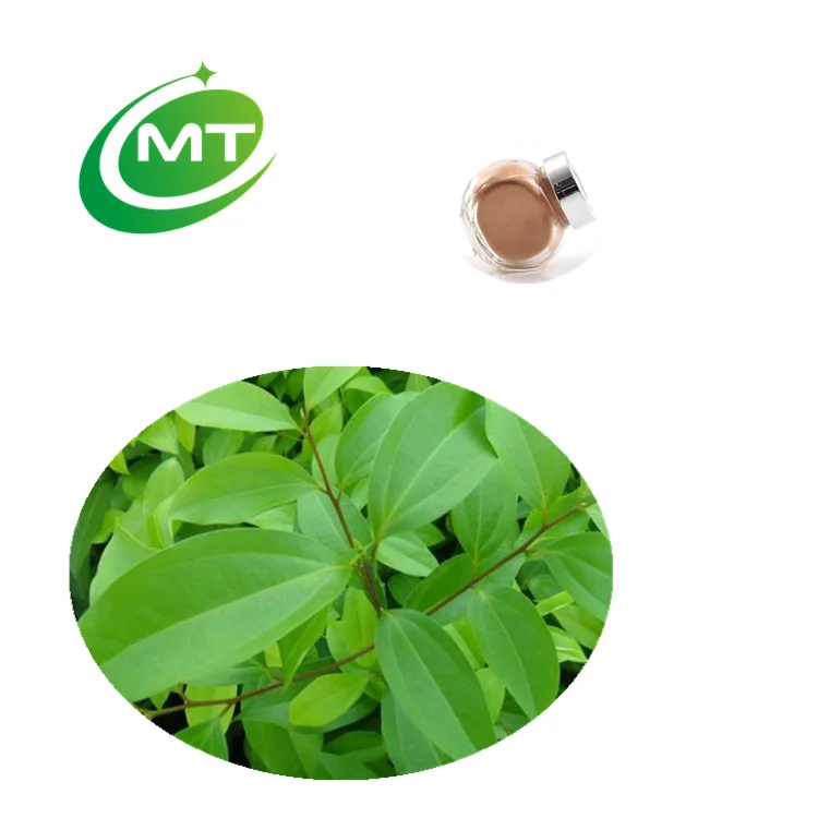 Free Sample Eucommia ulmoides Leaf /Eucommia ulmoides Bark/Eucommia Extract Powder
