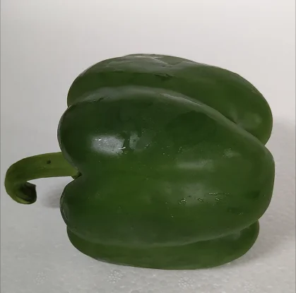 
China Fresh Green PepperWith Lower Price 