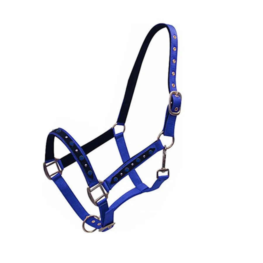 Equestrian Equipment Webbing Rainbow Horse Halter with hardware