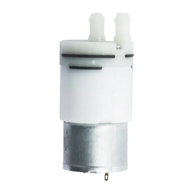 Large Flow DC 12V MIni Water Pump Micro Diaphragm Water Pumps