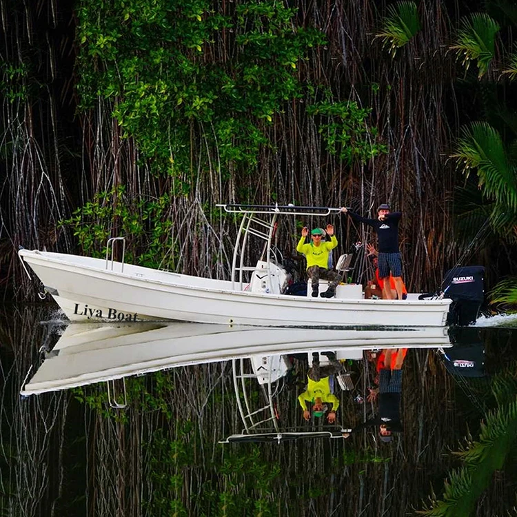 Liya fishing supplies fiberglass material electric cheap boat 25ft motorboat